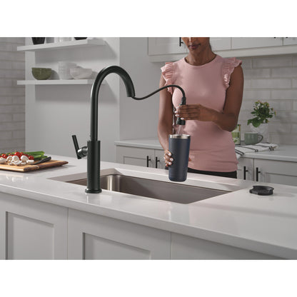 Delta Altado Pulldown Kitchen Faucet - 9186-DST