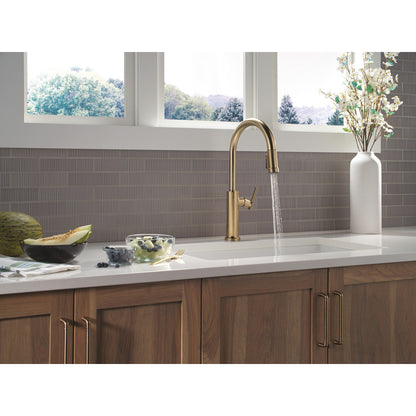 Delta Altado Pulldown Kitchen Faucet - 9186-DST