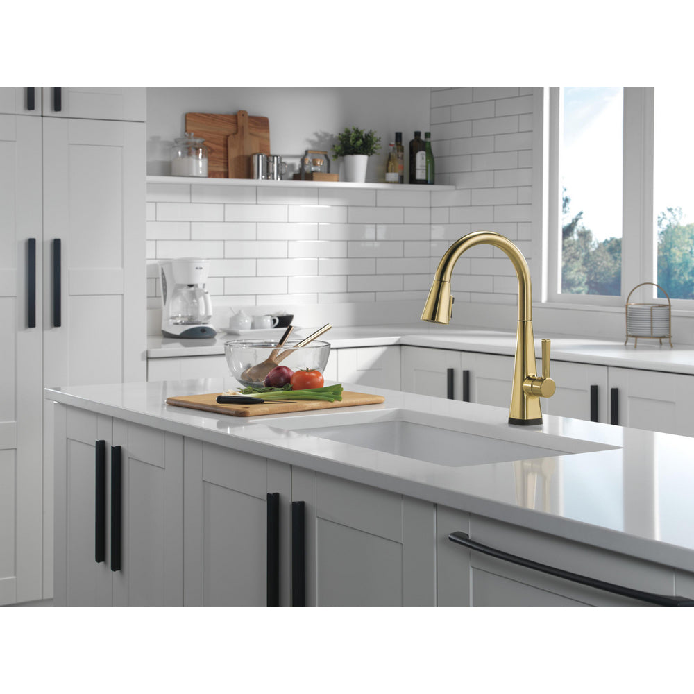 Delta Lenta Single-Handle Pull-Down Kitchen Faucet With Touch2O Technology