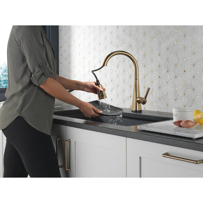Delta Lenta Single-Handle Pull-Down Kitchen Faucet With Touch2O Technology
