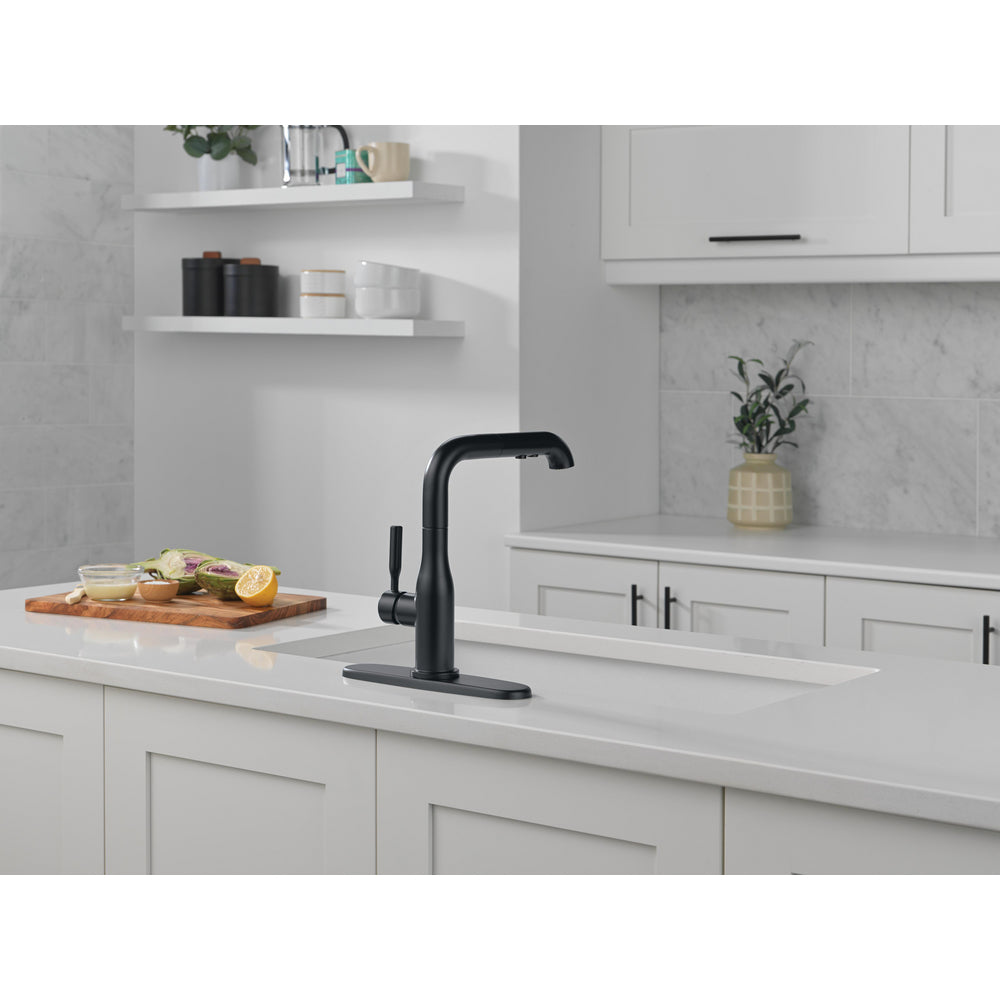 Delta Almari Single Handle Pull-Out Kitchen Faucet