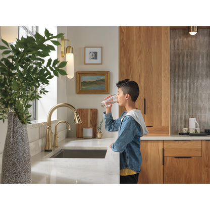 Delta Traditional Beverage Faucet - 1960