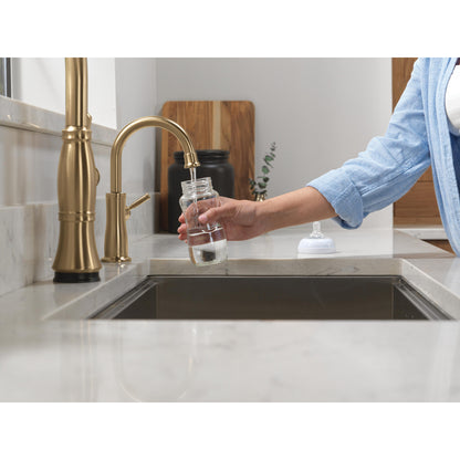 Delta Traditional Beverage Faucet - 1960