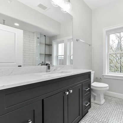 Kodaen Satro Single Hole Bathroom Faucet