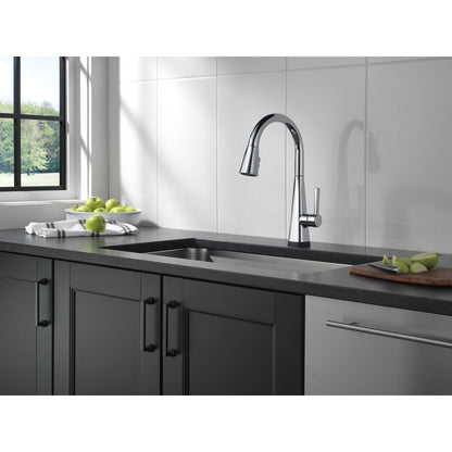 Delta Lenta Single-Handle Pull-Down Kitchen Faucet With Touch2O Technology