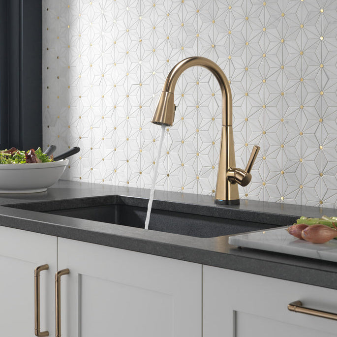 Delta Lenta Single-Handle Pull-Down Kitchen Faucet With Touch2O Technology