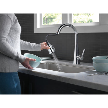 Delta Lenta Single-Handle Pull-Down Kitchen Faucet