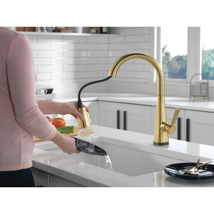 Delta Lenta Single-Handle Pull-Down Kitchen Faucet With Touch2O Technology