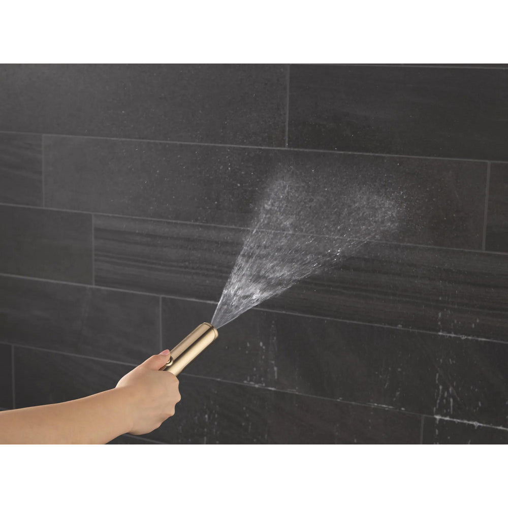 Delta 59537 Bonacci 2-Setting Hand Shower with ProClean Spray