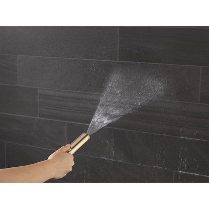 Delta 59537 Bonacci 2-Setting Hand Shower with ProClean Spray