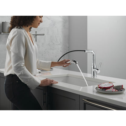 Delta Almari Single Handle Pull-Out Kitchen Faucet