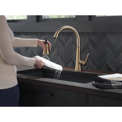 Delta Lenta Single-Handle Pull-Down Kitchen Faucet