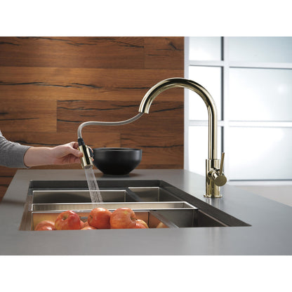 Robinet de cuisine rétractable Delta Trinsic à poignée unique, 6,8 L/min