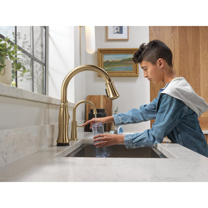 Delta Traditional Beverage Faucet - 1960