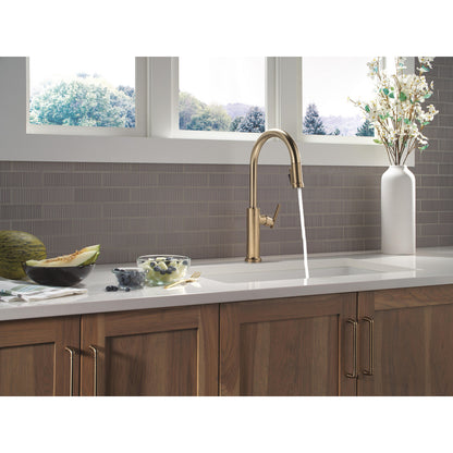 Delta Altado Pulldown Kitchen Faucet - 9186-DST