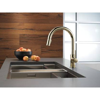 Robinet de cuisine rétractable Delta Trinsic à poignée unique, 6,8 L/min