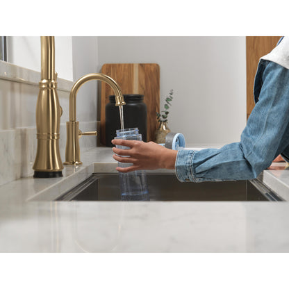 Delta Traditional Beverage Faucet - 1960