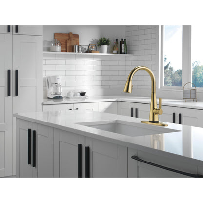 Delta Lenta Single-Handle Pull-Down Kitchen Faucet With Touch2O Technology