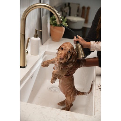 Delta Lenta Single-Handle Pull-Down Kitchen Faucet With Touch2O Technology