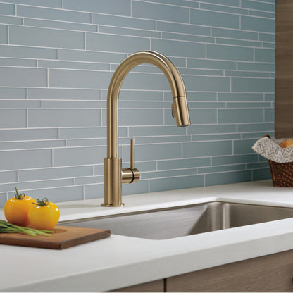 Delta Trinsic Single Handle Pull-Down Kitchen Faucet 1.8 GPM