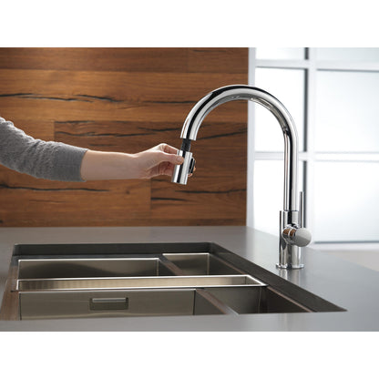 Delta Trinsic Single Handle Pull-Down Kitchen Faucet 1.8 GPM