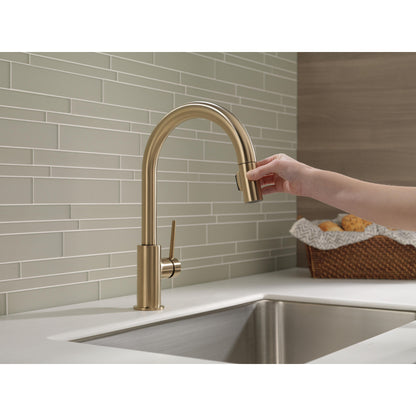 Delta Trinsic Single Handle Pull-Down Kitchen Faucet 1.8 GPM