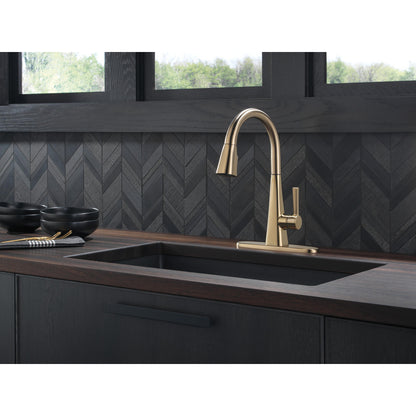 Delta Lenta Single-Handle Pull-Down Kitchen Faucet
