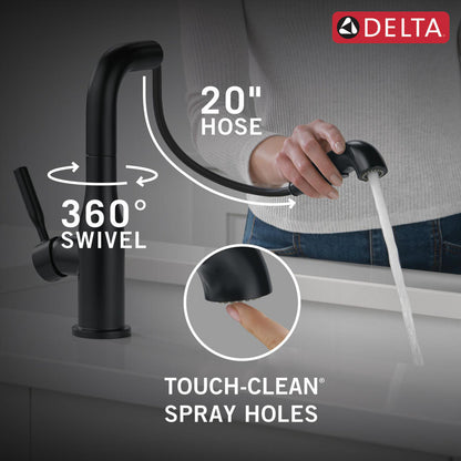 Delta Almari Single Handle Pull-Out Kitchen Faucet