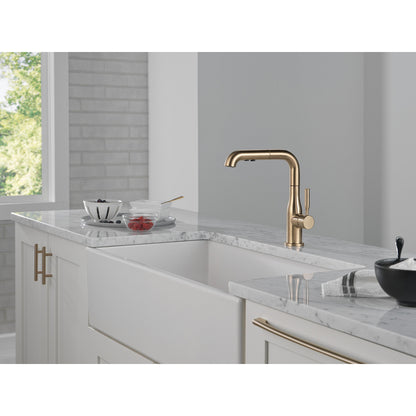 Delta Almari Single Handle Pull-Out Kitchen Faucet