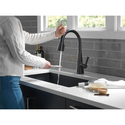 Delta Lenta Single-Handle Pull-Down Kitchen Faucet With Touch2O Technology