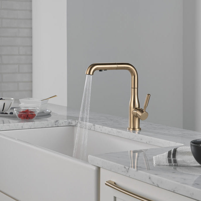 Delta Almari Single Handle Pull-Out Kitchen Faucet