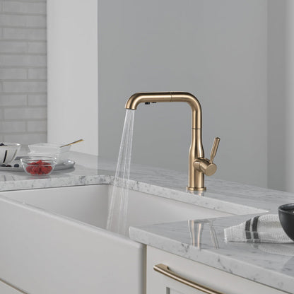 Delta Almari Single Handle Pull-Out Kitchen Faucet