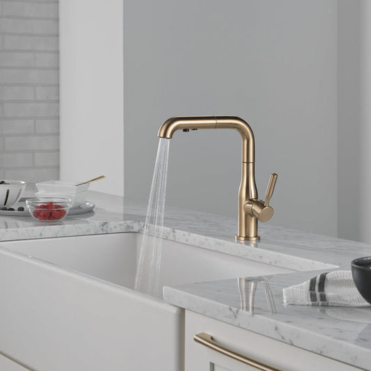 Delta Almari Single Handle Pull-Out Kitchen Faucet