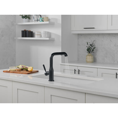 Delta Almari Single Handle Pull-Out Kitchen Faucet