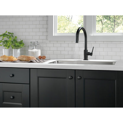 Delta Trinsic Single Handle Pull-Down Kitchen Faucet 1.8 GPM