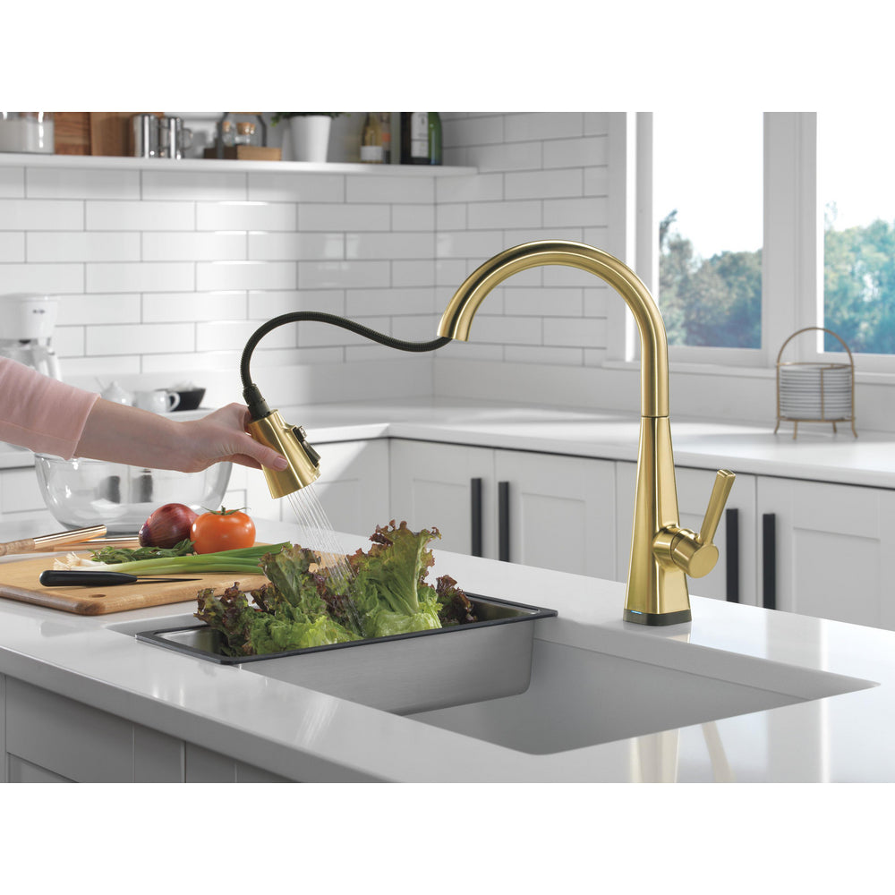 Delta Lenta Single-Handle Pull-Down Kitchen Faucet With Touch2O Technology