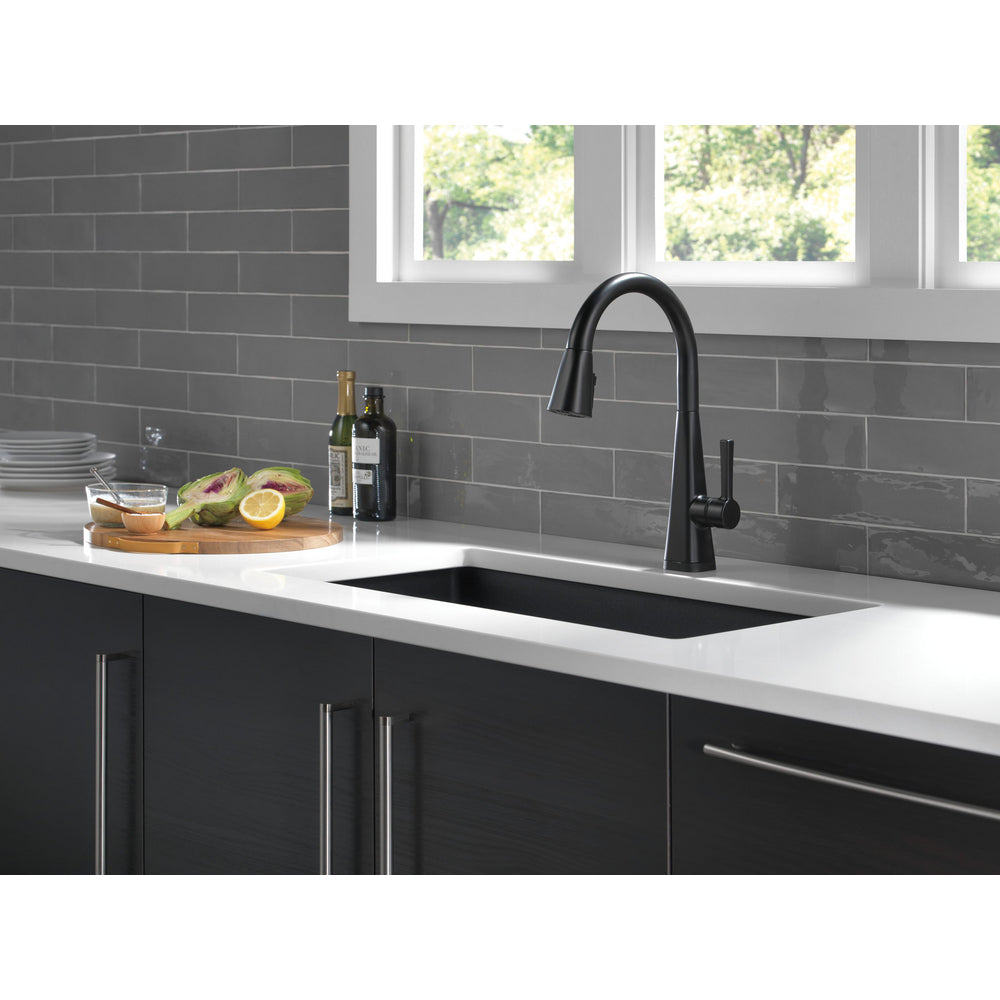 Delta Lenta Single-Handle Pull-Down Kitchen Faucet With Touch2O Technology