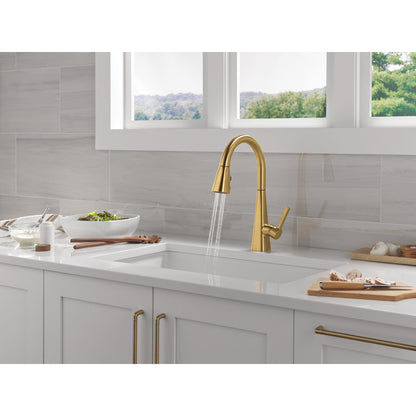 Delta Lenta Single-Handle Pull-Down Kitchen Faucet