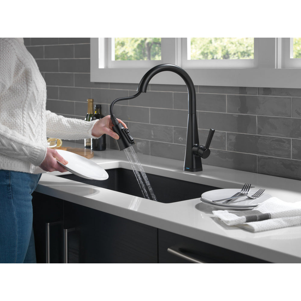 Delta Lenta Single-Handle Pull-Down Kitchen Faucet With Touch2O Technology