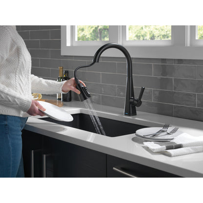 Delta Lenta Single-Handle Pull-Down Kitchen Faucet With Touch2O Technology