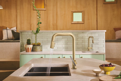 Brizo Frank Lloyd Wright Pull-Down Kitchen Faucet Offset Wood Lever Handle Kit - HLK023-WD