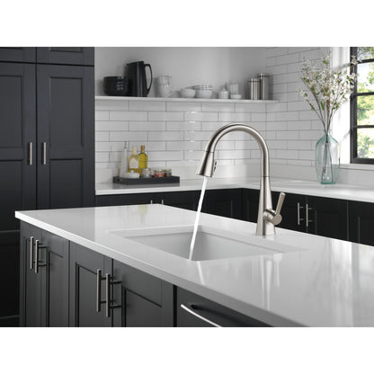 Delta Lenta Single-Handle Pull-Down Kitchen Faucet