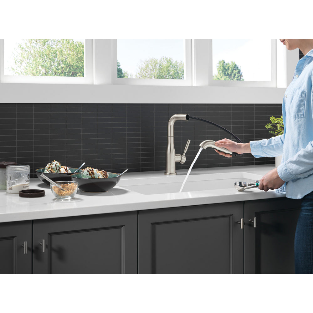 Delta Almari Single Handle Pull-Out Kitchen Faucet