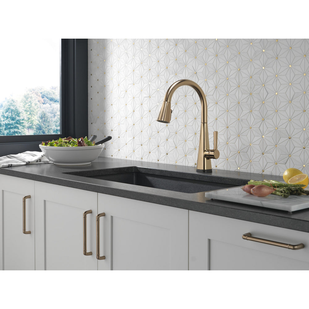 Delta Lenta Single-Handle Pull-Down Kitchen Faucet With Touch2O Technology