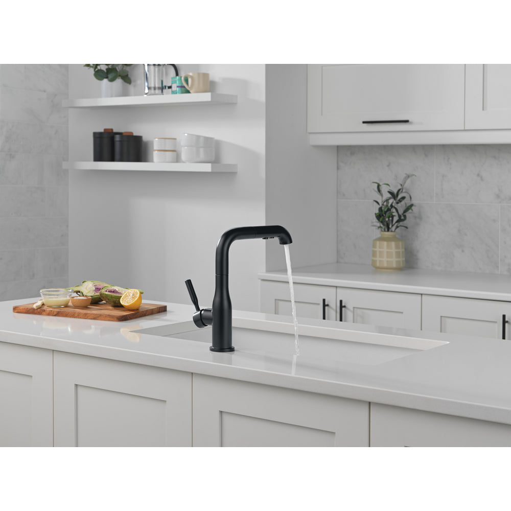 Delta Almari Single Handle Pull-Out Kitchen Faucet