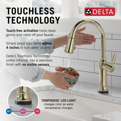 Delta Renaldi Touch2O Kitchen Faucet with Touchless Technology - 9184TL