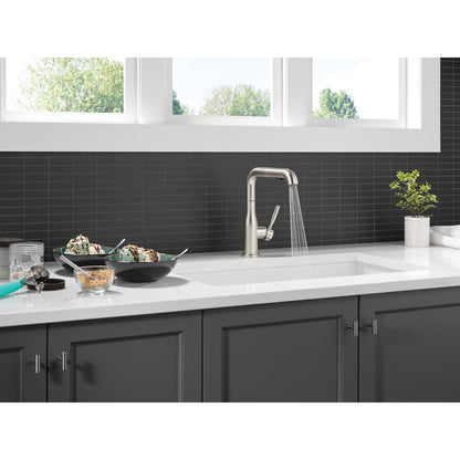 Delta Almari Single Handle Pull-Out Kitchen Faucet