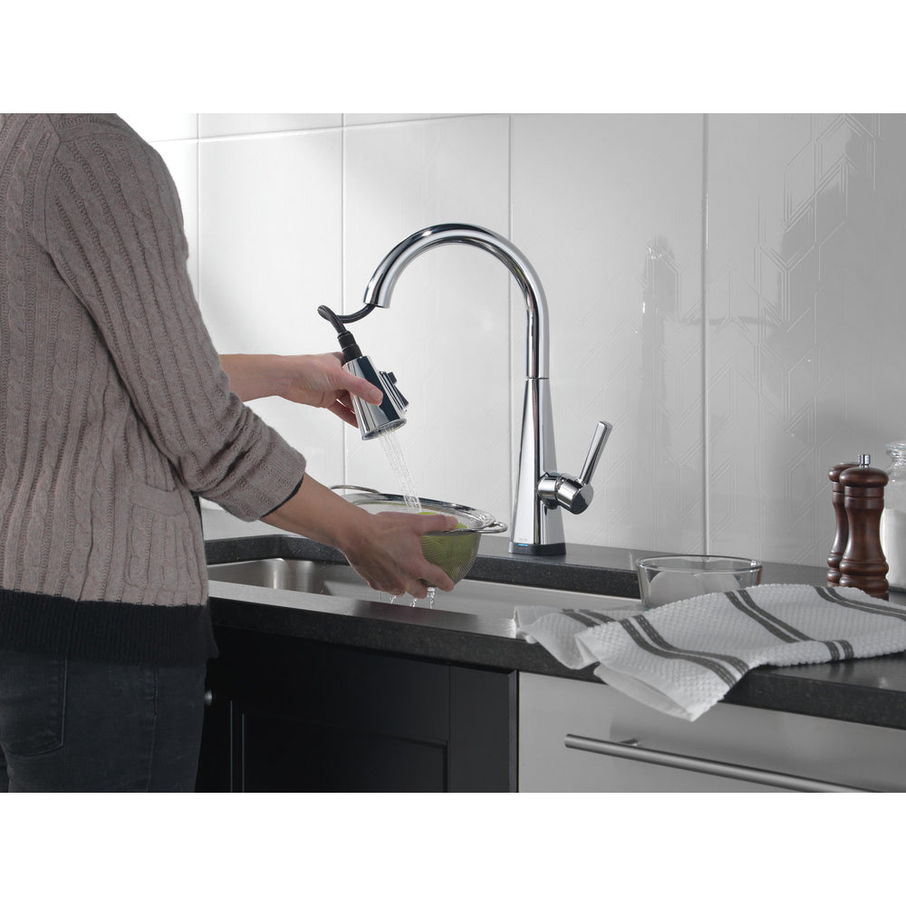 Delta Lenta Single-Handle Pull-Down Kitchen Faucet With Touch2O Technology