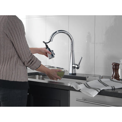 Delta Lenta Single-Handle Pull-Down Kitchen Faucet With Touch2O Technology