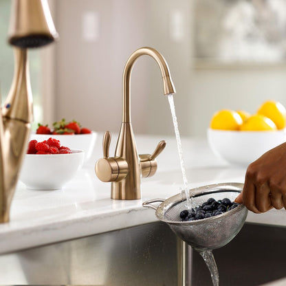 InSinkErator Transitional 1010 Instant Hot and Cold Water Faucet - Brushed Bronze - 45386AK-ISE - additional view